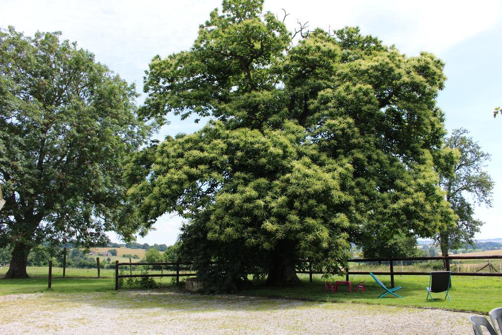 Gite Du Perche Saint-Ouen-de-Secherouvre ภายนอก รูปภาพ